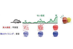 匂いの濃度が変わっても感じる匂いが変わらないのはなぜ? - 理研