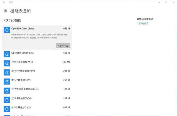 「OpenSSH Client (Beta)」を選択して、「インストール」をクリック