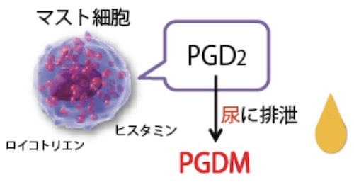 尿中のPGDMは食物アレルギーのマーカーとなりうる