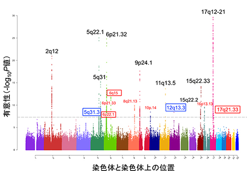 国際多集団142,486人によるGWASメタ解析の結果