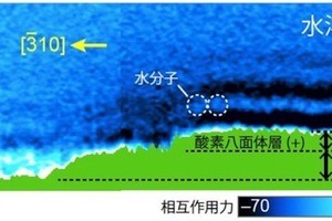 京大、原子間力顕微鏡を用いて固体-液体界面での水分子分布の可視化に成功