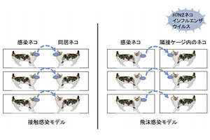ニューヨークで流行した猫インフルエンザ、特性を解明