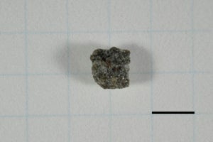 京都で見つかった小片は本当に「八王子隕石」か? 詳細分析を実施