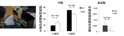 同研究で行われた認知的柔軟性課題とその結果