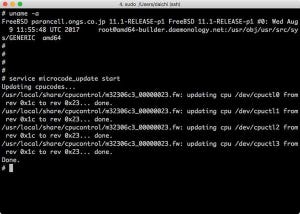 FreeBSDでCPUのマイクロコードをアップデートする方法