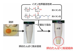 卵の白身から高強度ゲル材料を開発 東工大グループ