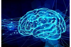 リコーと北斗、認知症の脳ドック用途の脳磁計開発に関する共同研究へ
