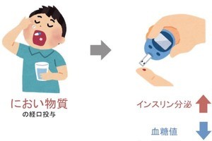 東北大、におい物質で高血糖を改善することを発見- 糖尿病の新治療薬開発へ