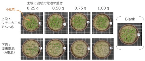 植物の成長への影響
