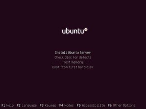 Ubuntu Server 18.04 LTS、新しいCUIインストーラを搭載