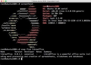 各種LinuxにおけるSnapのセットアップ方法と利用方法