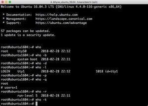 Linux whoコマンドの使い方