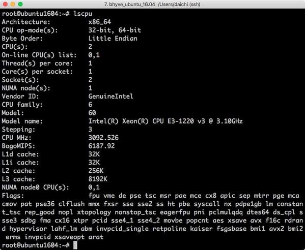 lscpuコマンドの実行例 - Ubuntu 16.04 LTS