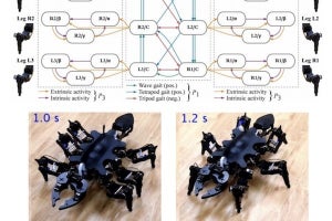 東工大、アリのように動く6脚ロボットの制御装置を開発