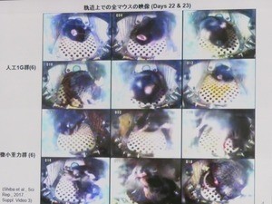 普通の人も宇宙に行ける時代へ - JAXA、3度目の小動物飼育ミッションに挑戦