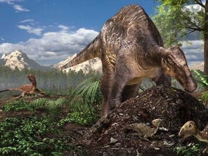 恐竜が卵を温める方法を堆積物から解明