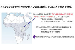 順天堂大ら、アフリカでマラリア第一治療薬の耐性原虫を発見