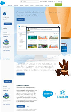 <a href="https://www.salesforce.com/products/integration-cloud/overview/" target="_blank">Integration Cloud</a>