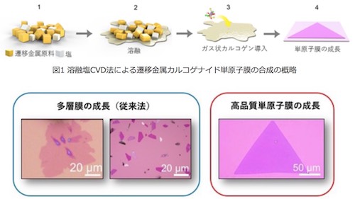 今回合成された二元系(上)と五元系(下、3種類の遷移金属と2種類のカルコゲン)の単原子膜(出所:産総研Webサイト)