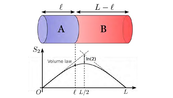量子もつれの空間分布のグラフ