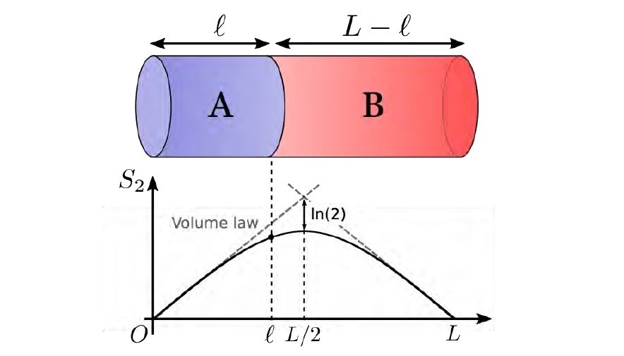 ミクロとマクロが合致 - 量子もつれの分布は熱力学で決まると ミクロとマクロが合致 - 量子もつれの分布は熱力学で決まると