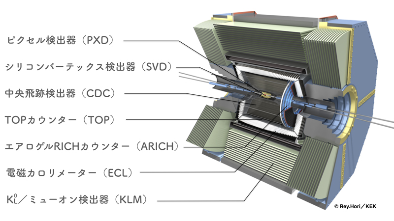 Belle II 測定器の断面イメージ