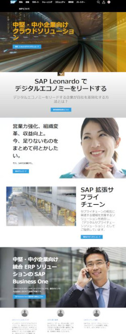 <a href="https://www.sap.com/japan/index.html" target="_blank">SAPジャパン</a>