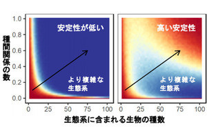 東北大、複雑な生態系を維持するシンプルな仕組みを解明