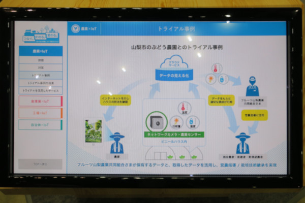 ぶどう農家とともに行われたトライアル事例。ビニールハウス内に設置されたネットワークカメラや各種センサーの情報をクラウド上へ。そして遠隔地からハウス内の状況把握はもちろん、データを元にした最適な栽培が行える