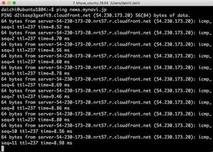 pingコマンドの基本的な使い方