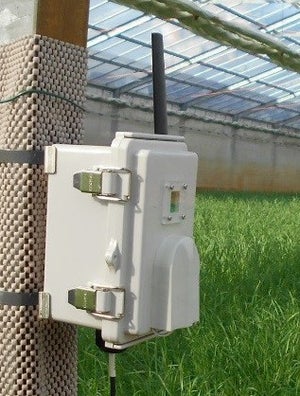 LoRaWAN対応の環境センサーで農作物の栽培環境を監視