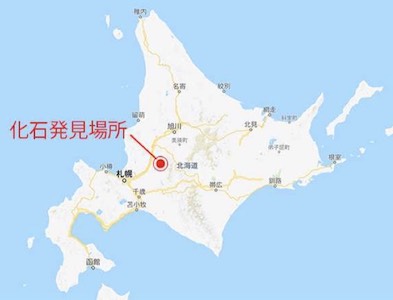 化石発見場所の位置図(出所:北大ニュースリリース)