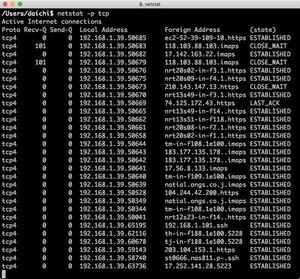 ネットワーク情報を表示するnetstatコマンドの使い方