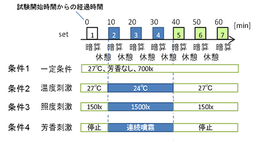 実験のプロトコル