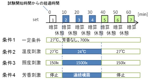 実験のプロトコル
