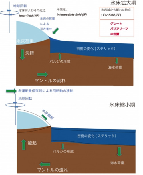 上から、氷床拡大期と縮小期の地球表層と固体地球の変形を示す図。