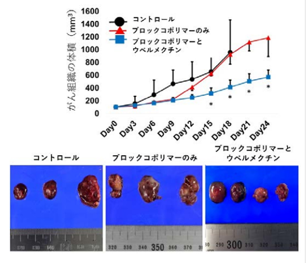 肝臓がんのマウスにDDSを用いて薬剤を投与した結果