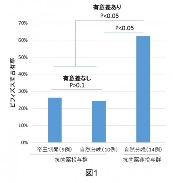 研究結果の概要