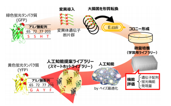 今回の成果の概要