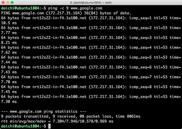 pingコマンドの実行例 / Ubuntu 18.04 LTS
