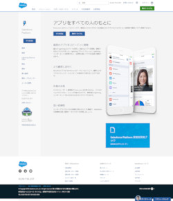 Salesforce Lightning Platform(<a href="https://www.salesforce.com/jp/products/platform/products/force/" target="_blank">セールスフォース・ドットコムWebサイト内</a>