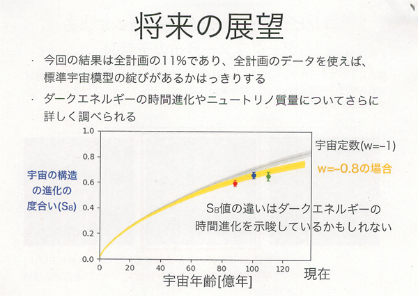 今回の研究結果を踏まえた将来展望