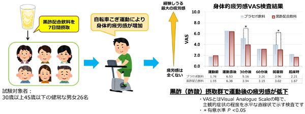 臨床試験の概要