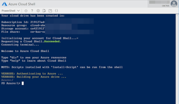 左上のドロップダウンリストから使用する言語(PowerShell Core or Bash)を選択できる