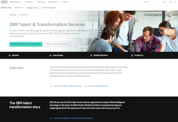 <a href="https://www.ibm.com/services/process/talent" target="_blank">IBM Talent & Transformation Services</a>