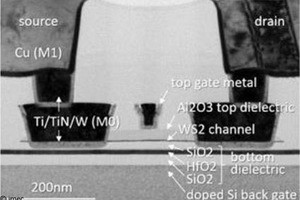 300mmウェハ上に二次元材料用いたMOSFETの形成に成功 - imec