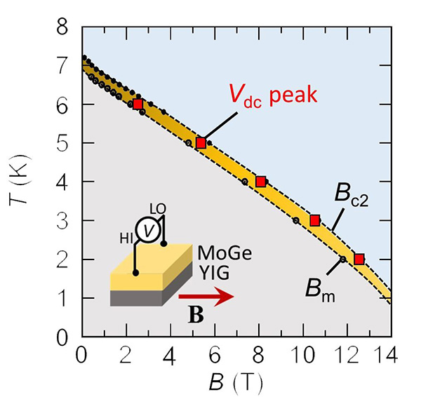 直流電圧が生じた温度と磁場の組み合わせを、MoGeの超伝導相の相図と照らし合わせた結果