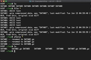 zforceコマンドの使い方