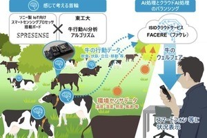 東工大、信大ら、エッジAI技術を活用した牛の行動観察システムを共同開発