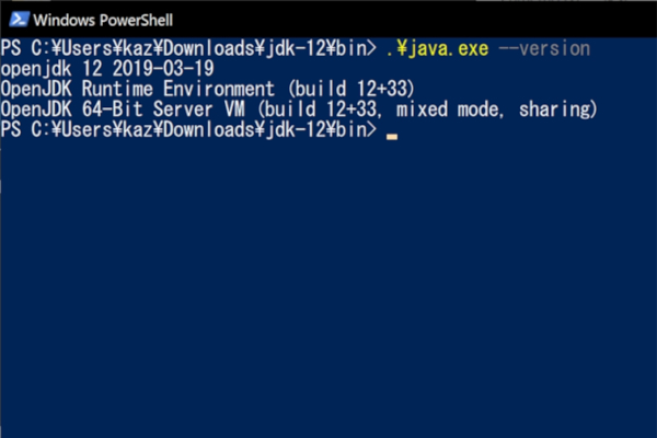 Windows版Java.exeの実行結果
